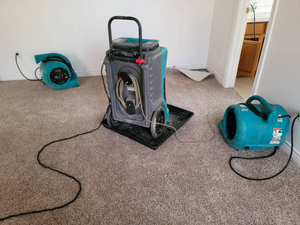 Best Water damage restoration company  in Lynn Haven, FL