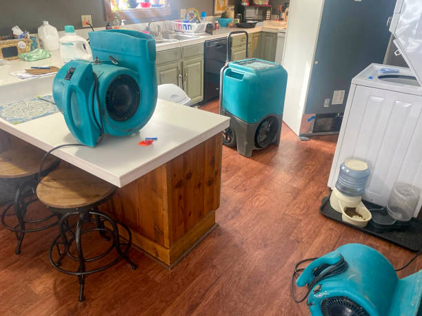 Best Water damage restoration experts  in Lynn Haven, FL