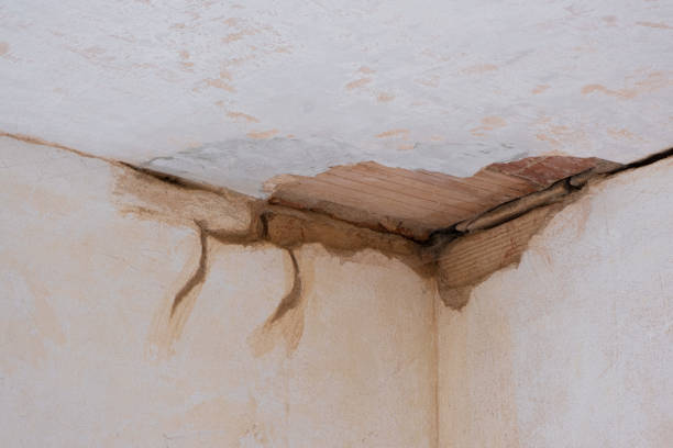 Best Commercial water damage restoration  in Lynn Haven, FL