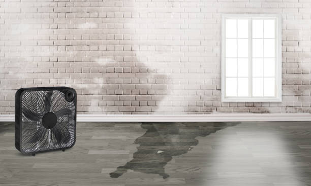 Sewage cleanup and water damage restoration in Lynn Haven, FL