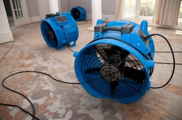 Best Water damage restoration near me  in Lynn Haven, FL