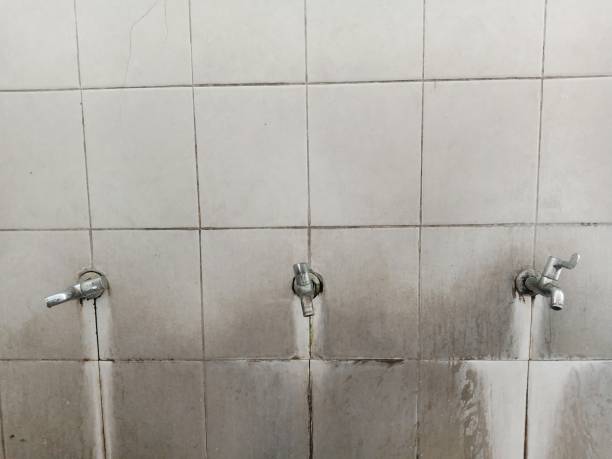 Best Professional water damage repair  in Lynn Haven, FL