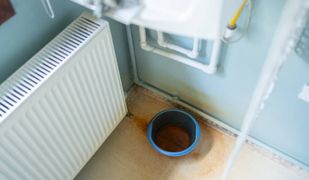 Best Water damage restoration near me  in Lynn Haven, FL