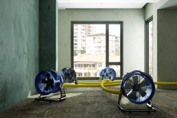 Best Water damage cleanup near me  in Lynn Haven, FL